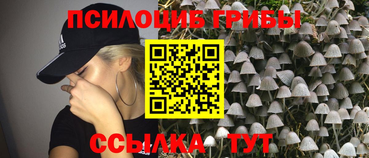 Псилоцибиновые грибы Cubensis  Вход с VPN  Губкин 