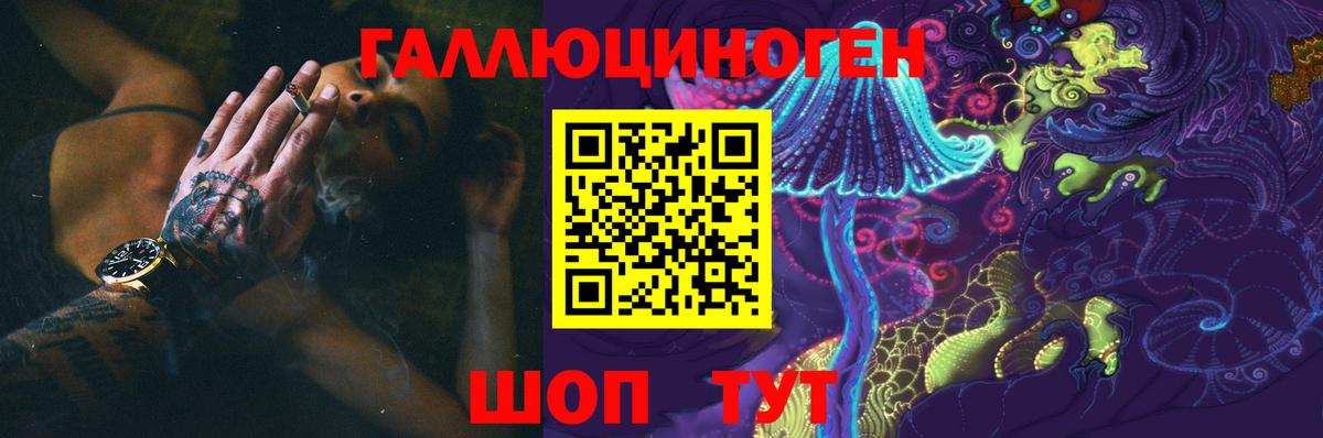 Псилоцибиновые грибы Губкин